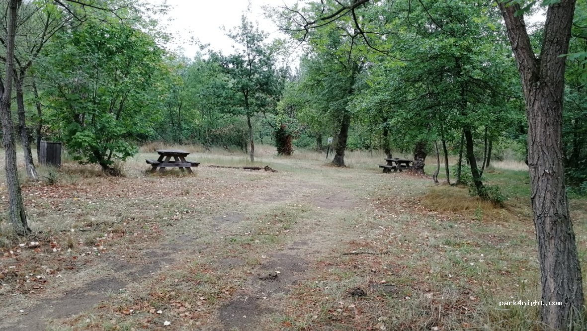(63500) Sauvagnat-Sainte-Marthe - Veneix — foto