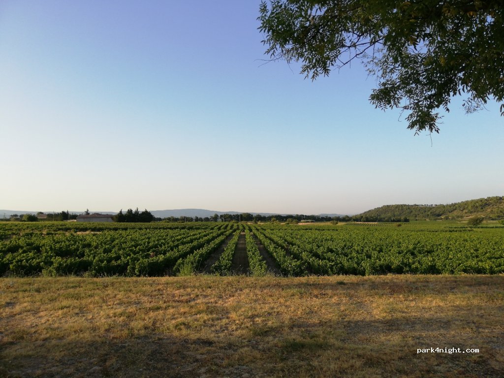 (84330) Saint-Hippolyte-le-Graveyron - 289 Route de Caromb — foto 2