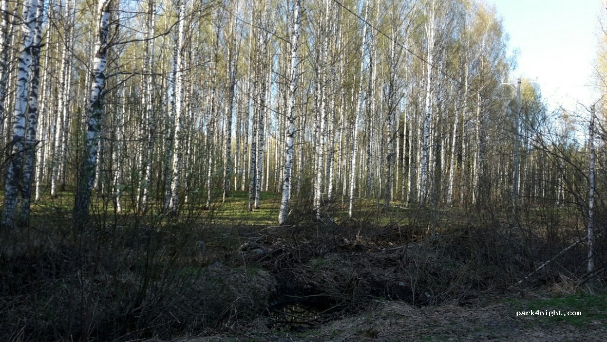 (82200) Joensuu - 292 Saarenkyläntie — foto