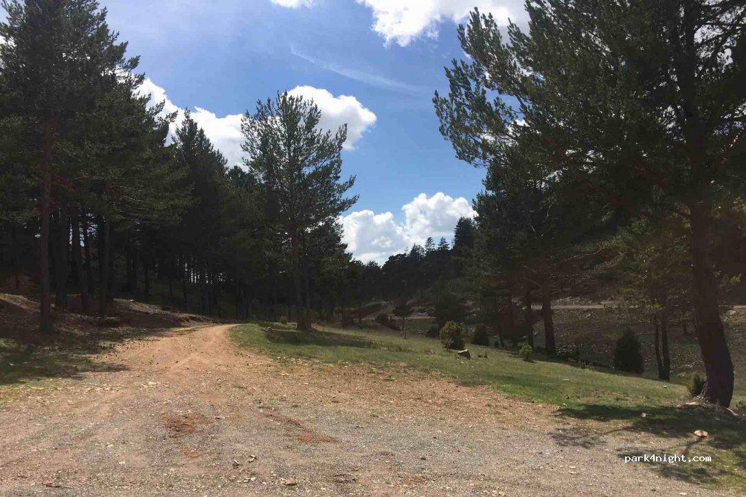 (44414) Nogueruelas - Unnamed Road — foto
