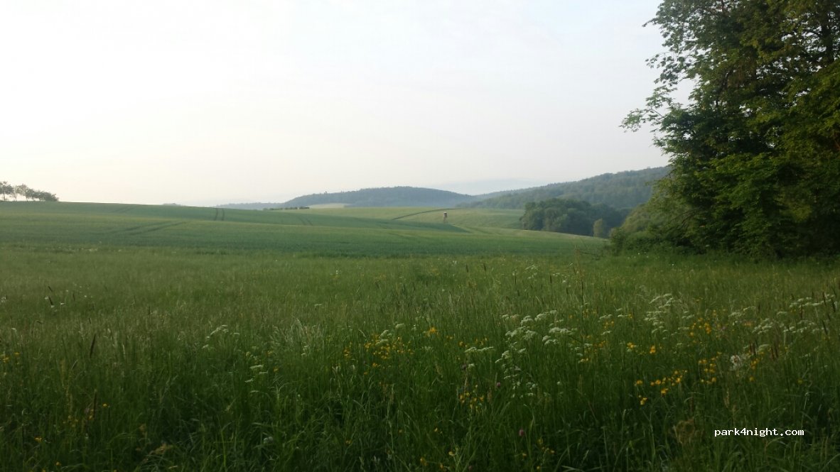 (65366) Geisenheim - L3272 — foto