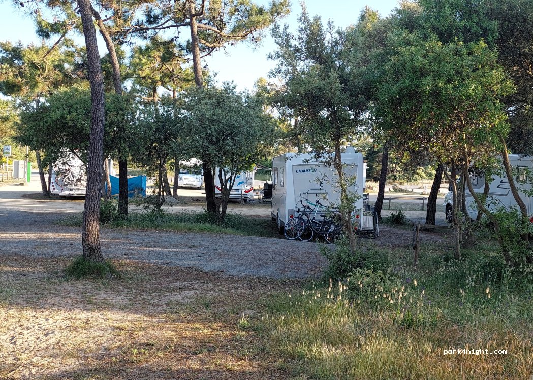 (85550) La Barre-de-Monts - Route de la Grande Côté — foto 5