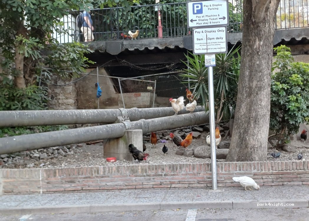 (GX11 1AA) Gibraltar - 1 Corral Road — foto 4