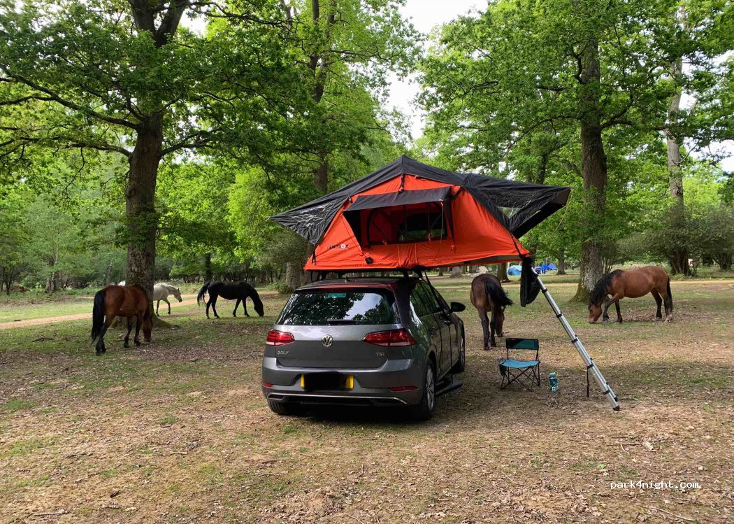 Hollands Wood Campsite — foto 3