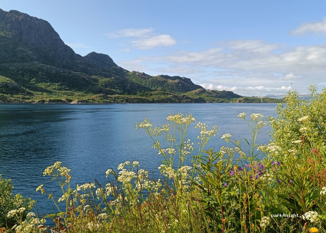 (8325) Tengelsfjord - 1 Sekundær Fylkesveg 868 — foto 5