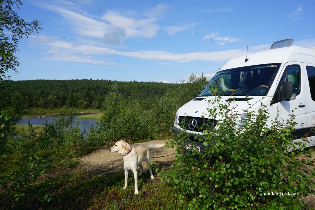 Muotkan Ruoktu Tunturikyla — foto 5