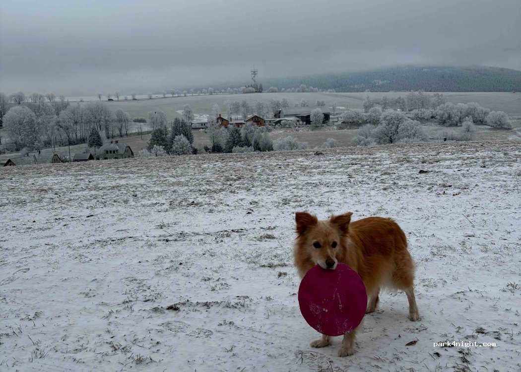 (561 69) Králíky - Králíky — foto 3