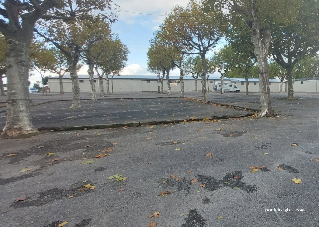 (81190) Tanus - 2-14 Rue de Tanus le Vieux — foto 4