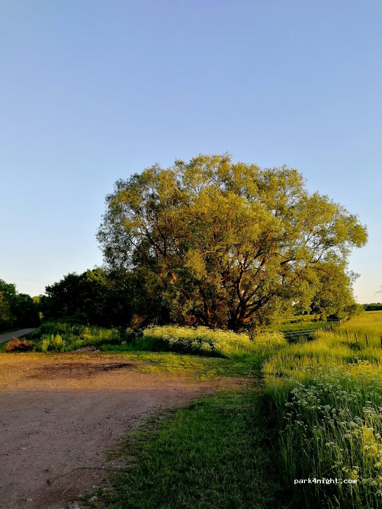(57245) Peltre - Unnamed Road — foto