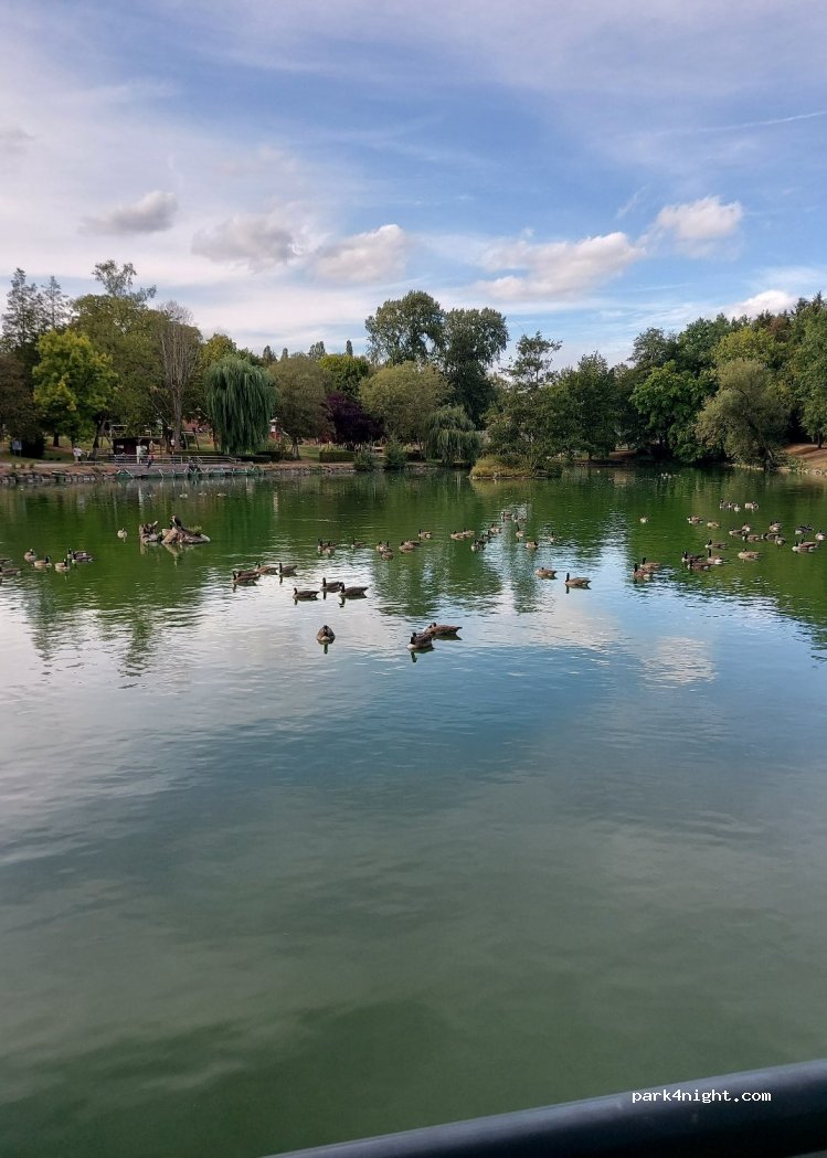 (4630) Soumagne - 38 Chaussée de Wégimont — foto 3