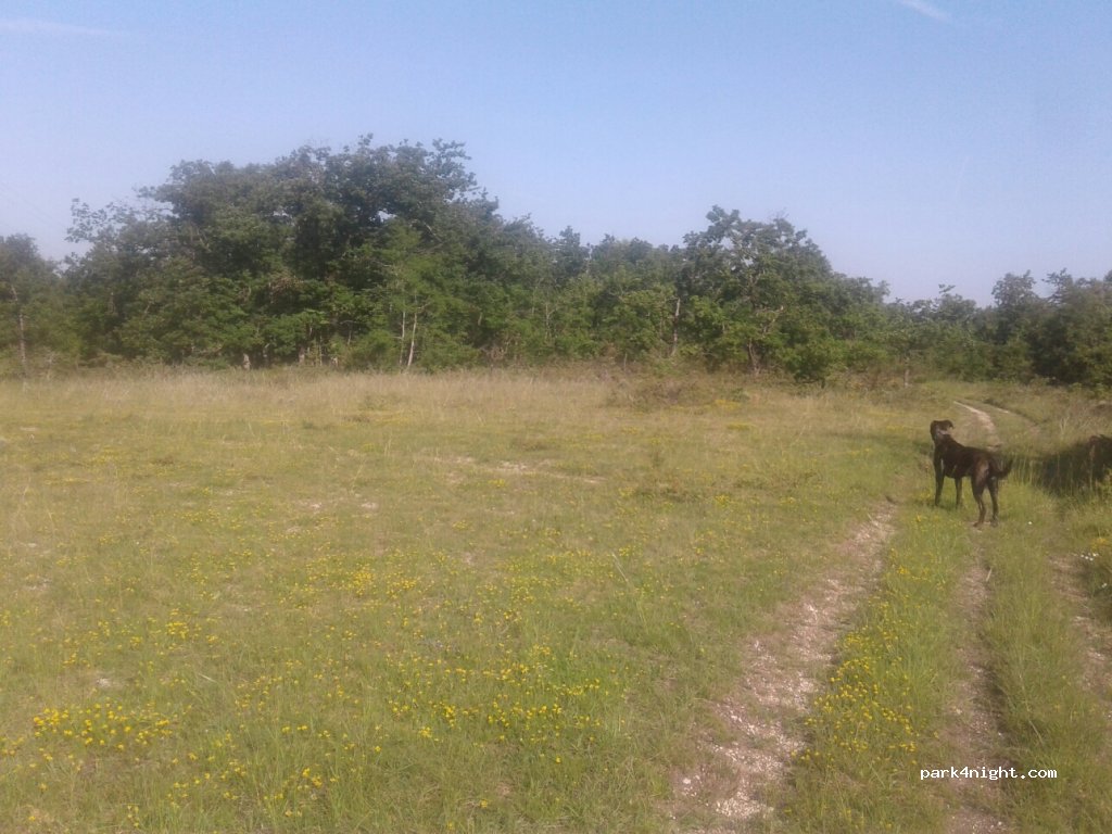 (46800) Villesèque - D12 — foto 2