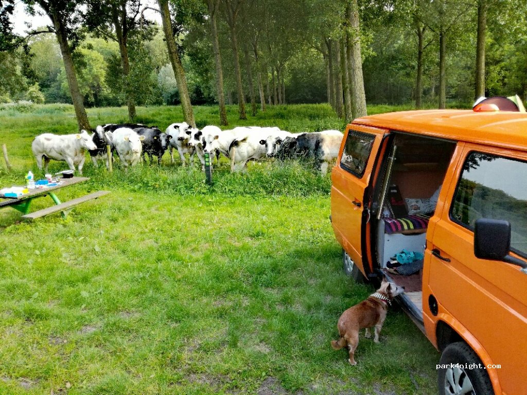 (4506 HN) Cadzand - 6 Knokkertweg — foto 3