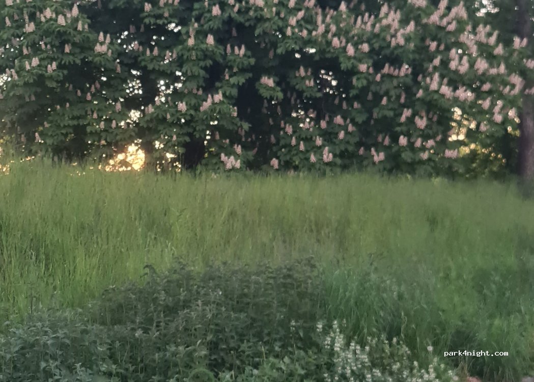 (261 31) Landskrona - 4B Kavallerigatan — foto 5