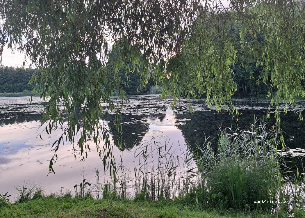 Simbadets Camping — foto 3