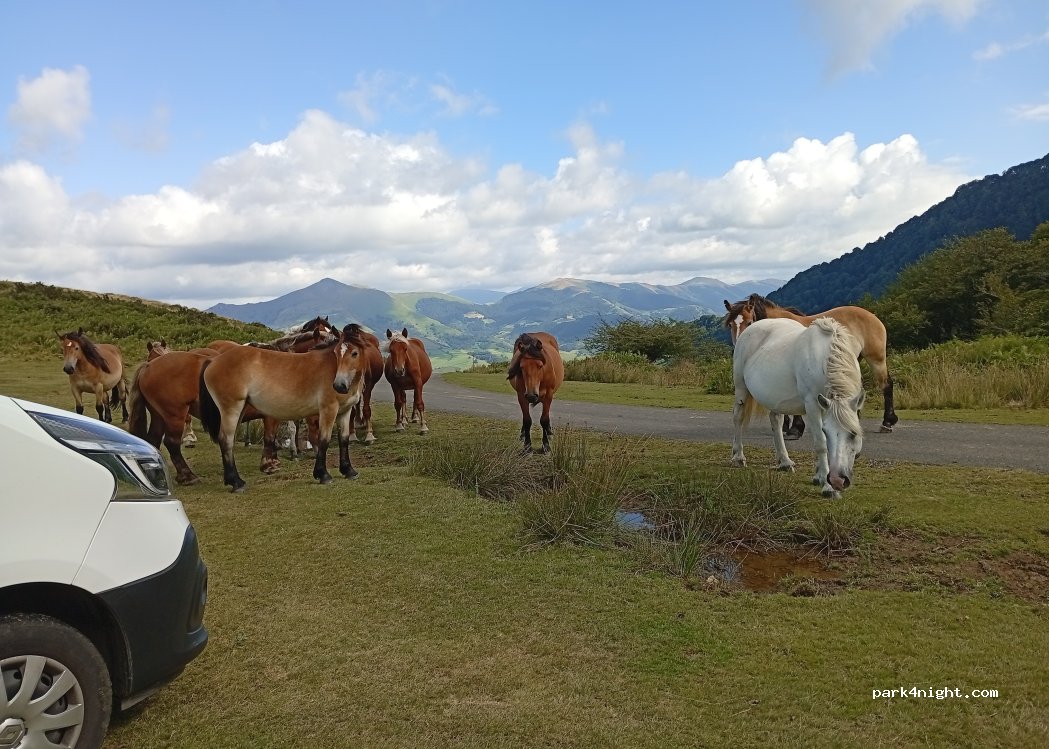(31714) banca - Unnamed Road — foto 5