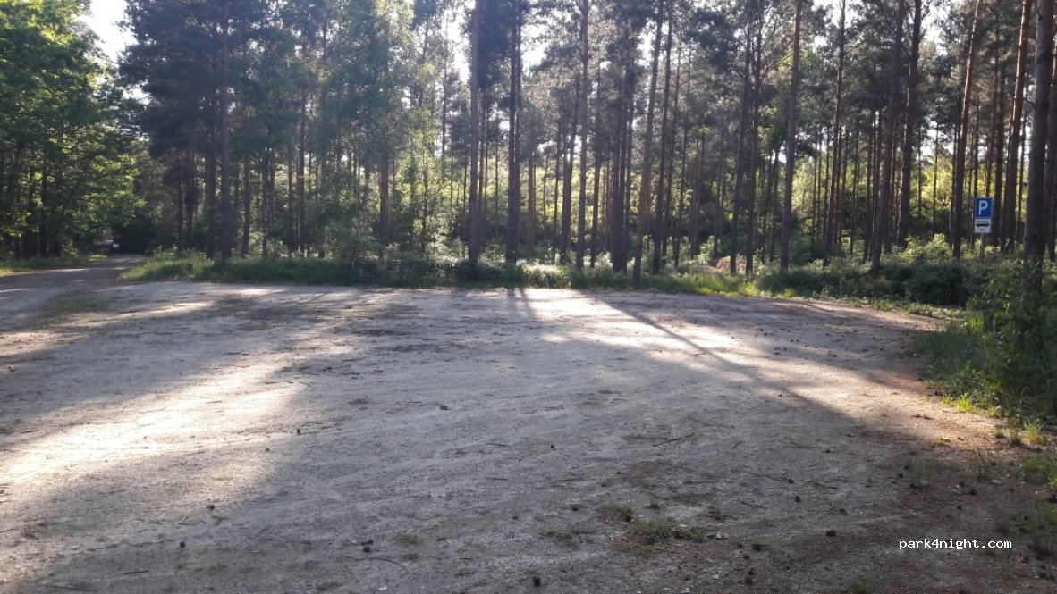 (15913) Spreewaldheide - L44 — foto