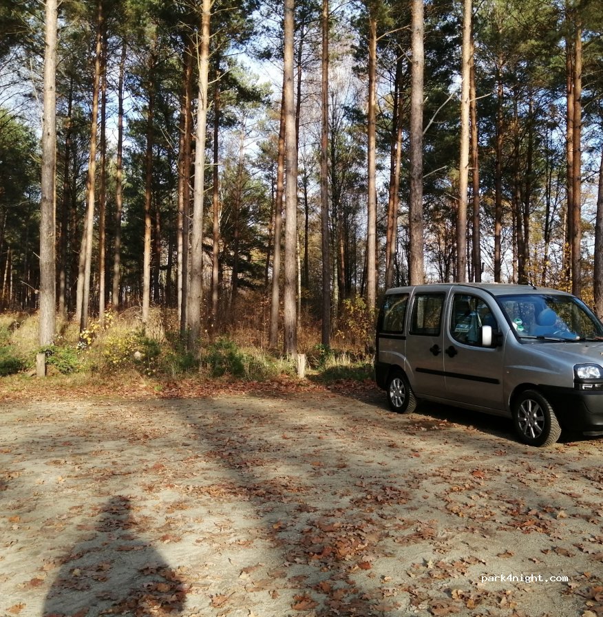 (15913) Spreewaldheide - L44 — foto 2