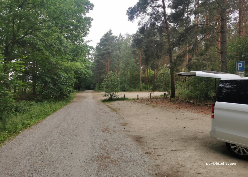 (15913) Spreewaldheide - L44 — foto 3