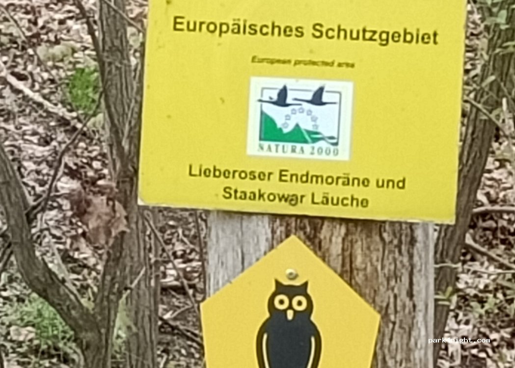 (15913) Spreewaldheide - L44 — foto 4