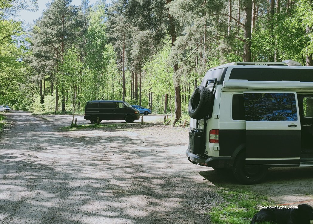(15913) Spreewaldheide - L44 — foto 5