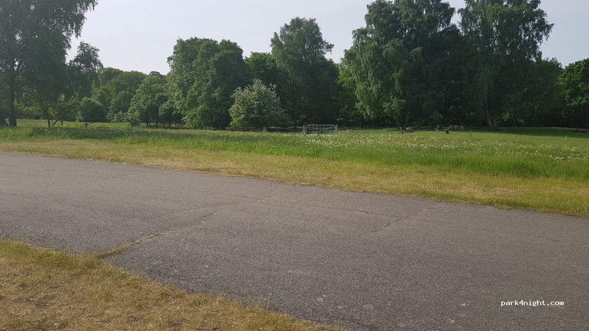 (3480) Fredensborg - 3 Dronningens Kovang — foto
