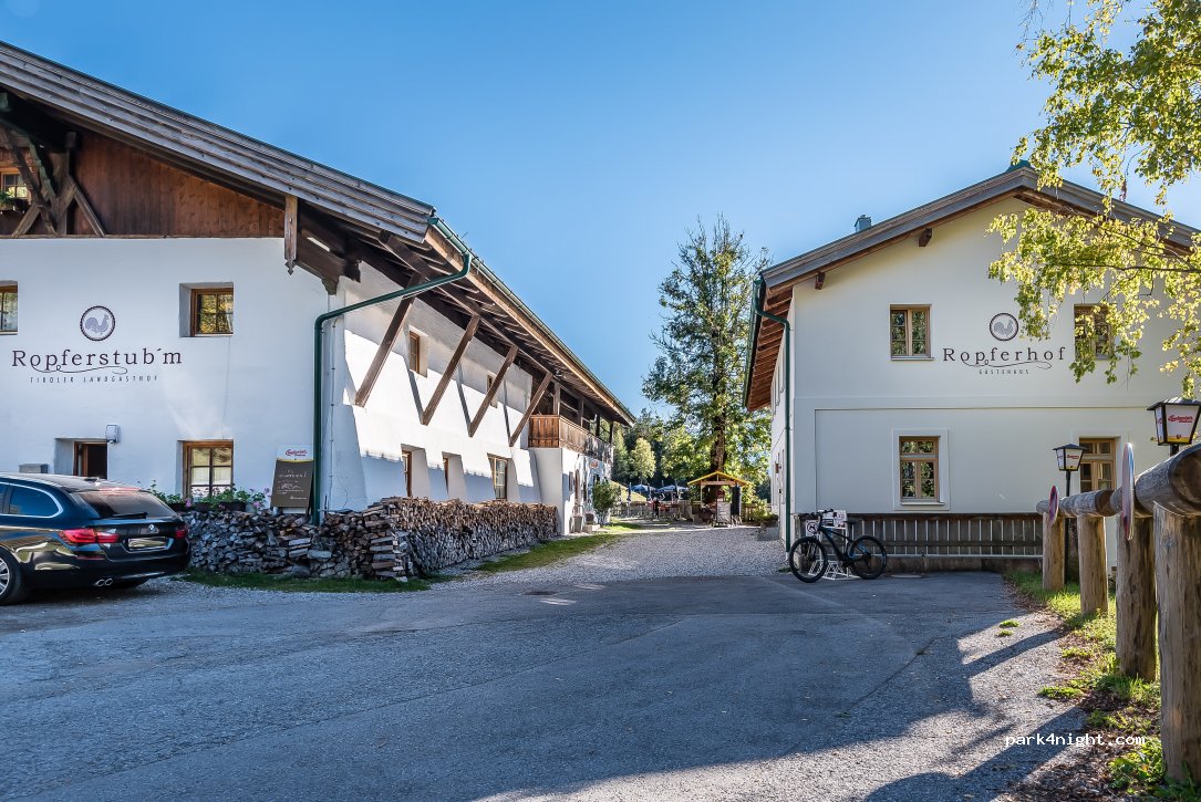 Buchen — foto