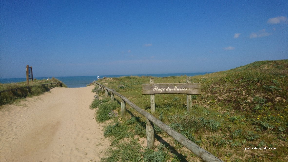(85690) Notre-Dame-de-Monts - Chemin du Mûrier — foto 2