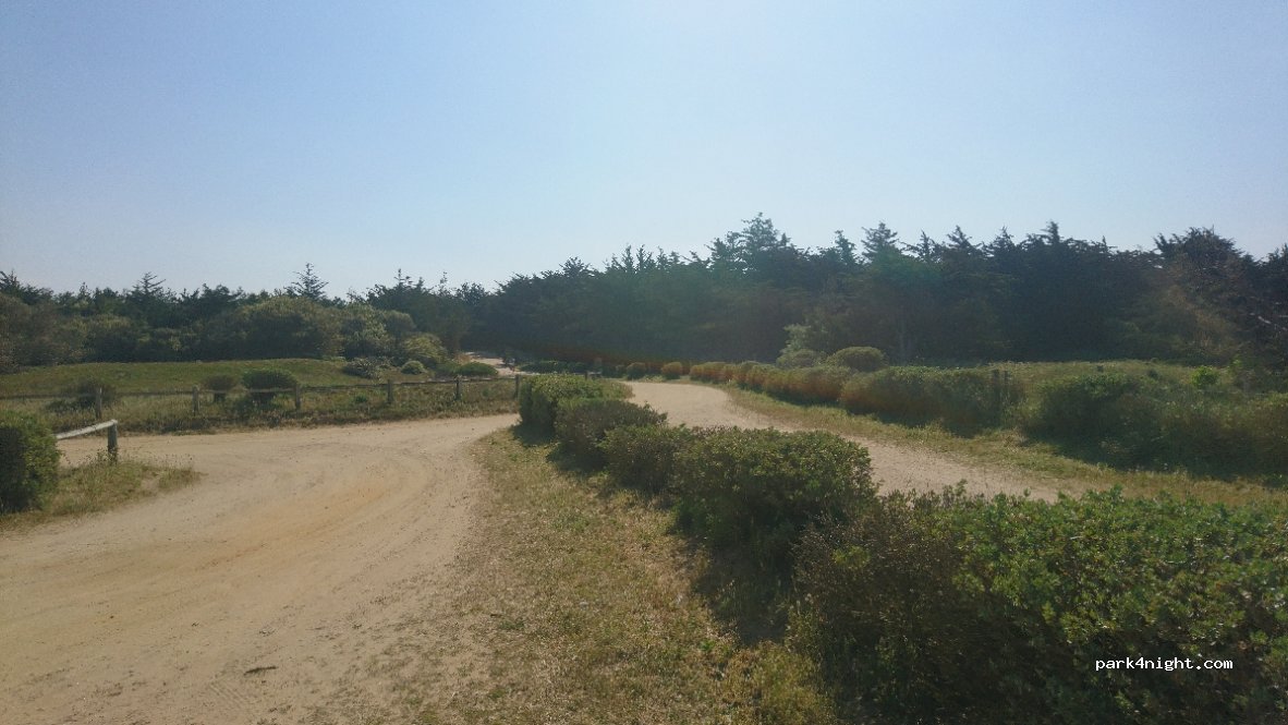 (85690) Notre-Dame-de-Monts - Chemin du Mûrier — foto 3