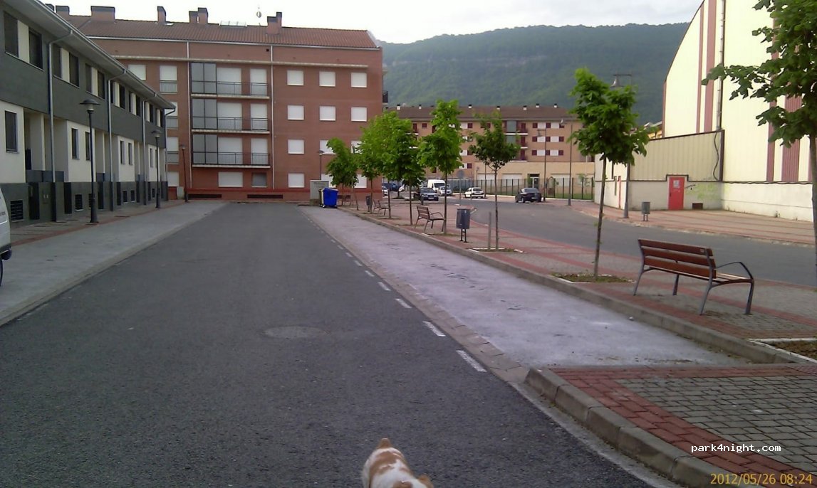 (31800) Altsasu - 24 Calle Aminanespila — foto 3