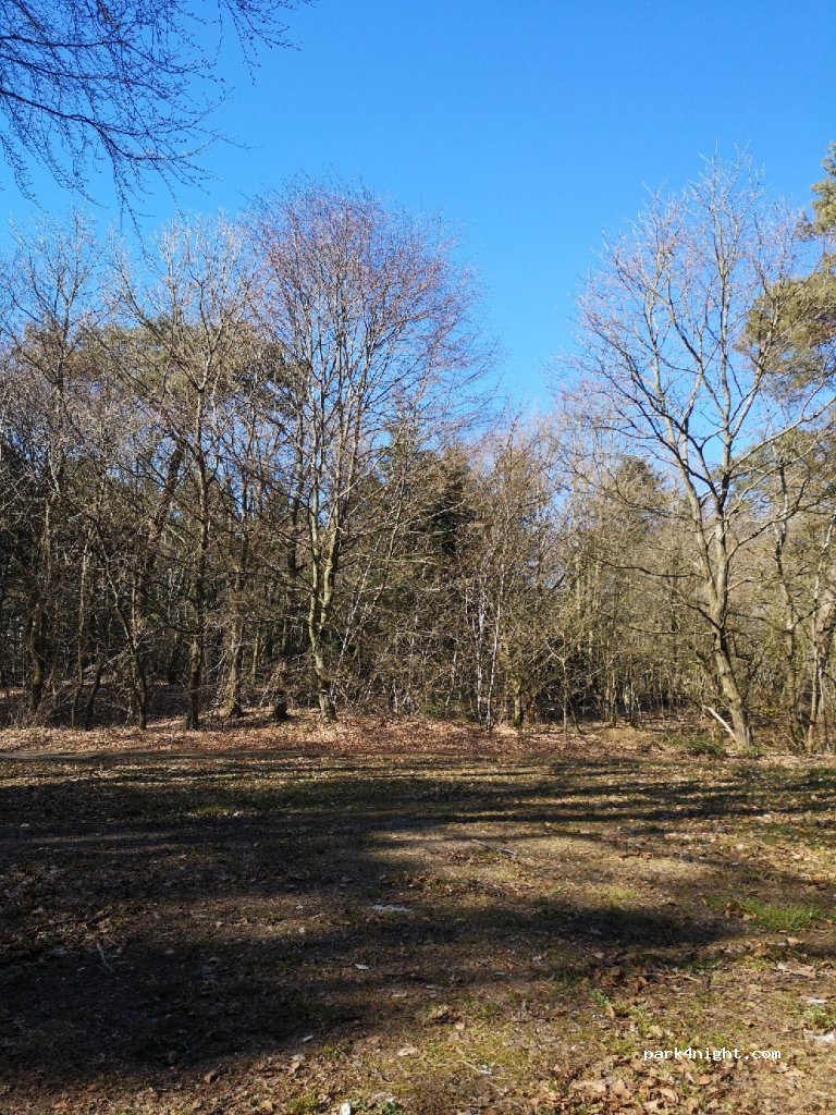 (9881) Bindslev - Plantørvej — foto