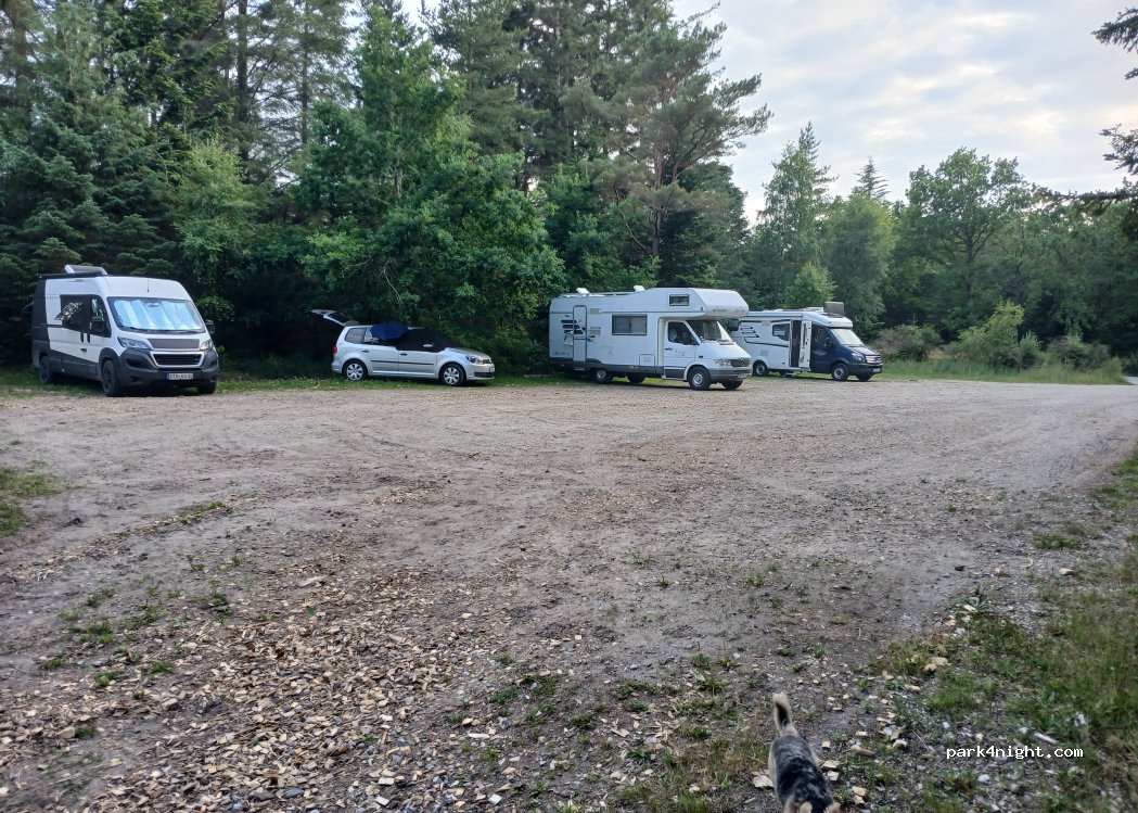 (9881) Bindslev - Plantørvej — foto 5