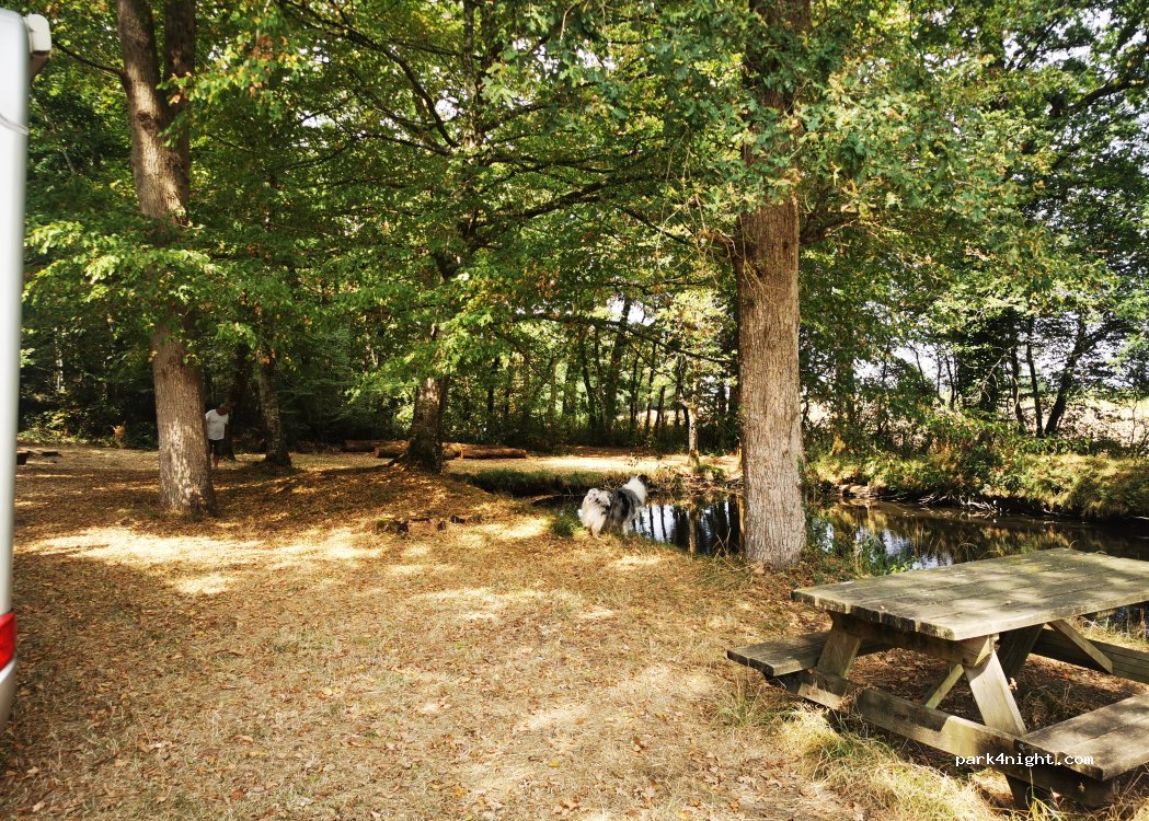 (17800) Saint-Léger - 6 Rue du Logis — foto 5