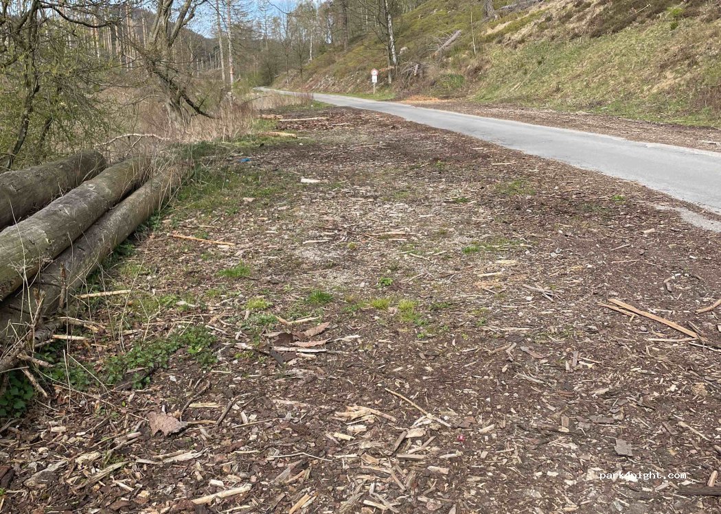 (32805) Horn-Bad Meinberg - 20 Altenbekener Straße — foto 2
