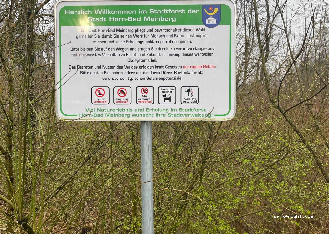 (32805) Horn-Bad Meinberg - 20 Altenbekener Straße — foto 4