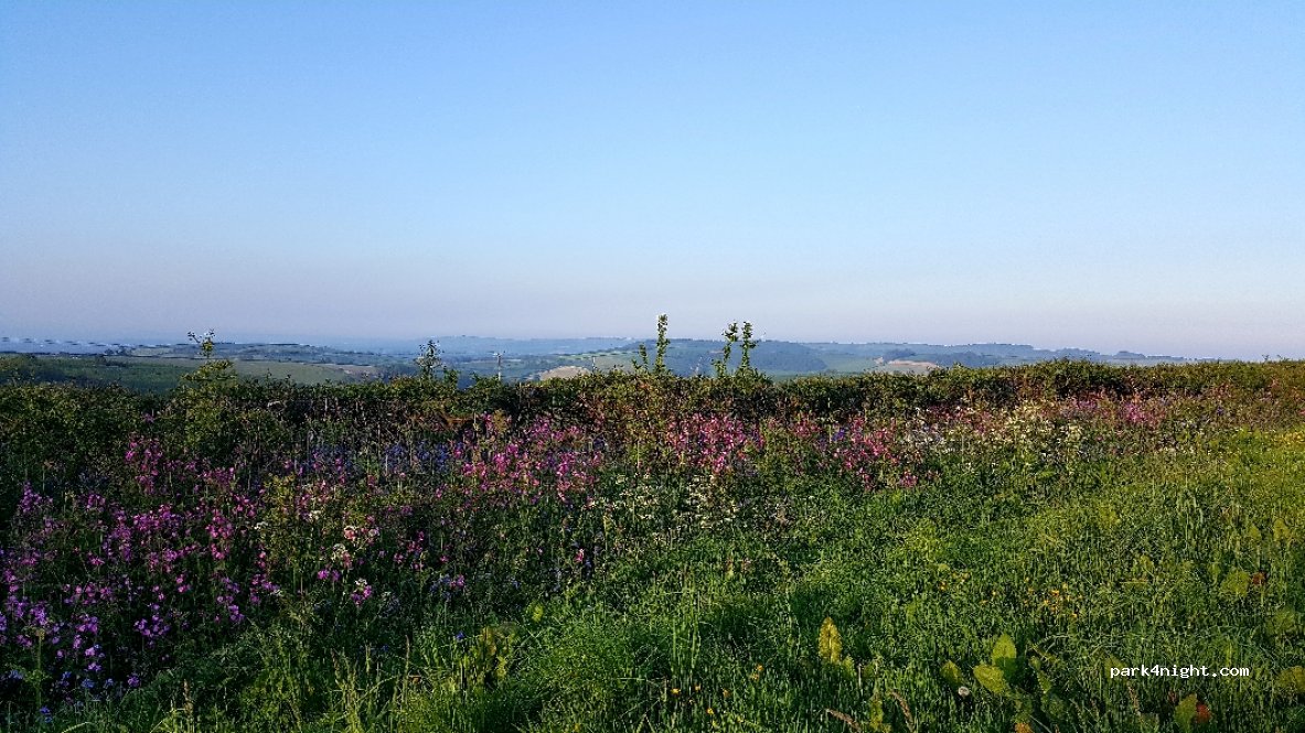 Giants Head Caravan & Camping Park — foto 2