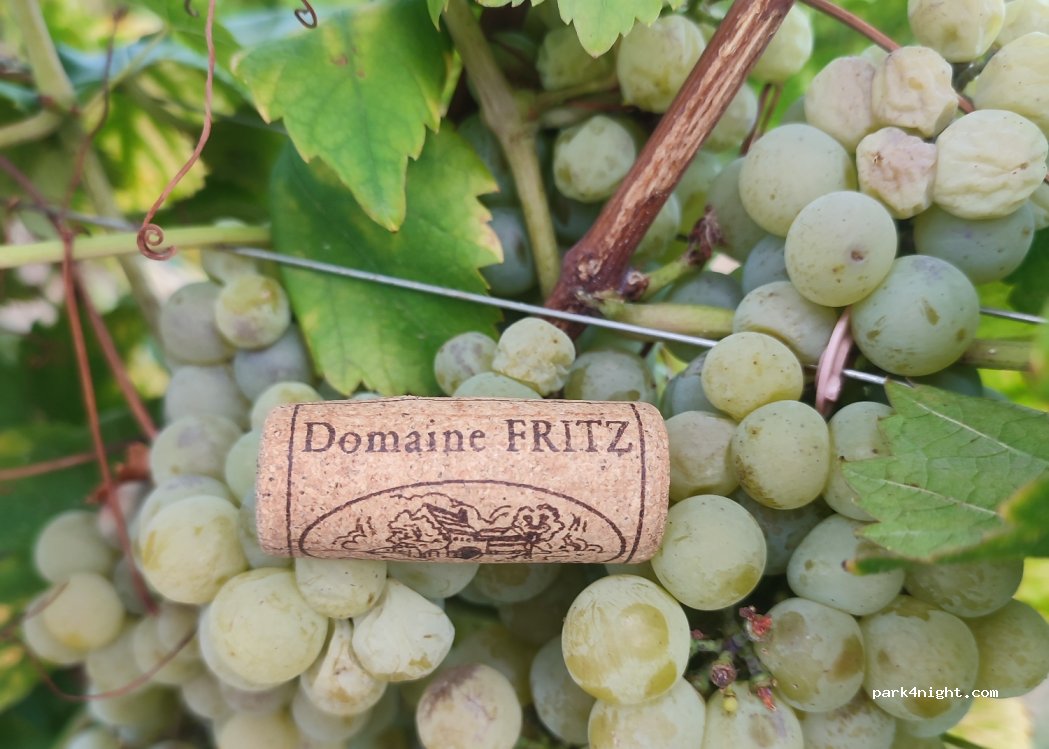 Domaine Fritz — foto 5