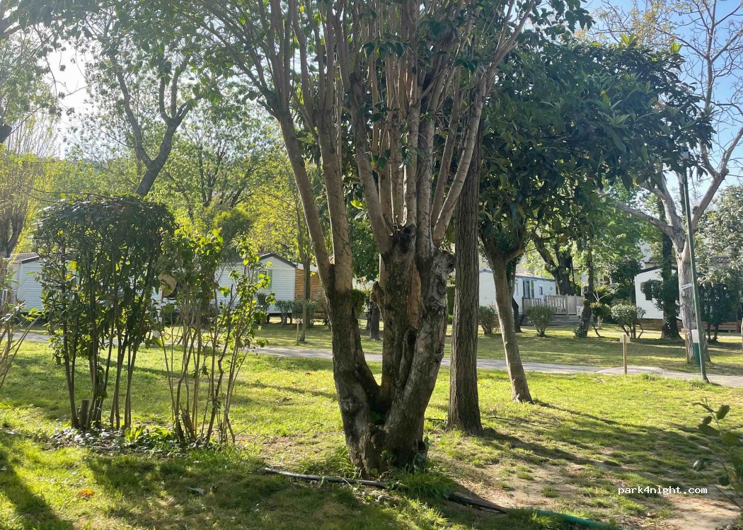 Camping Les Mimosas — foto 2