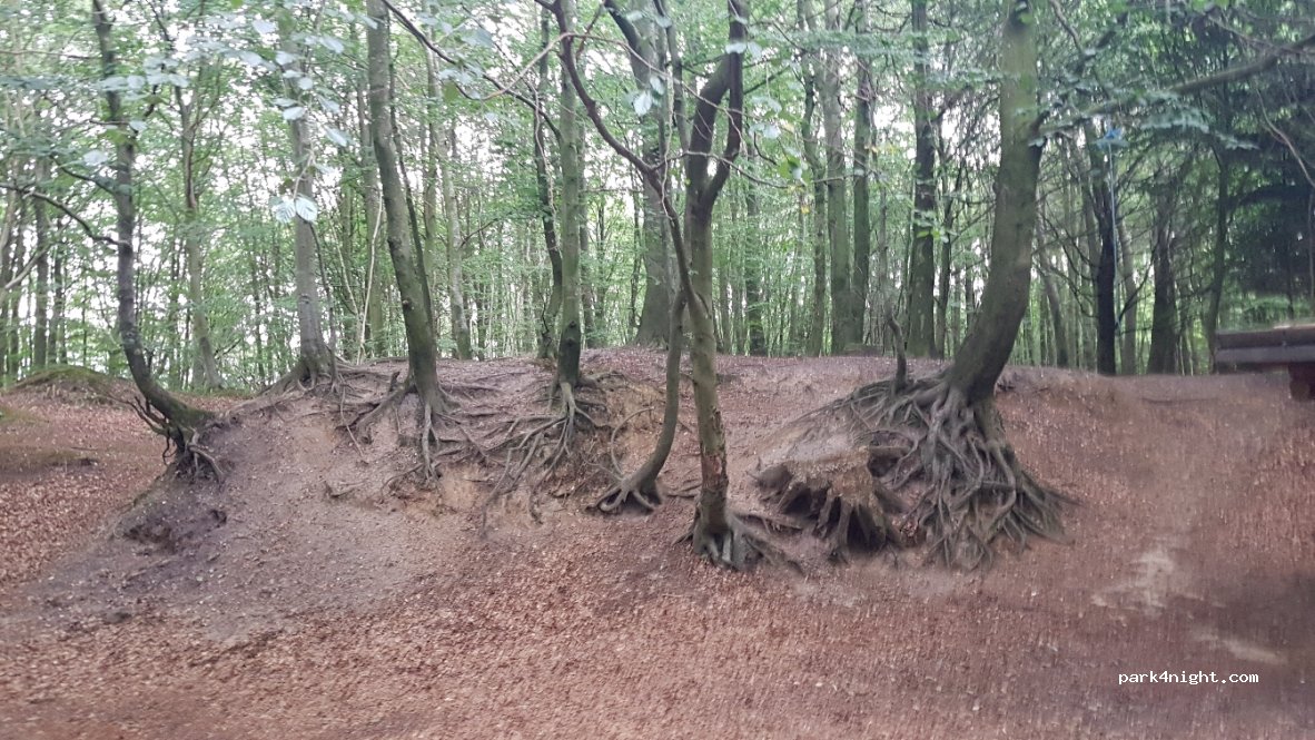 (6560) Nedersø - 14 Sølvagervej — foto 2