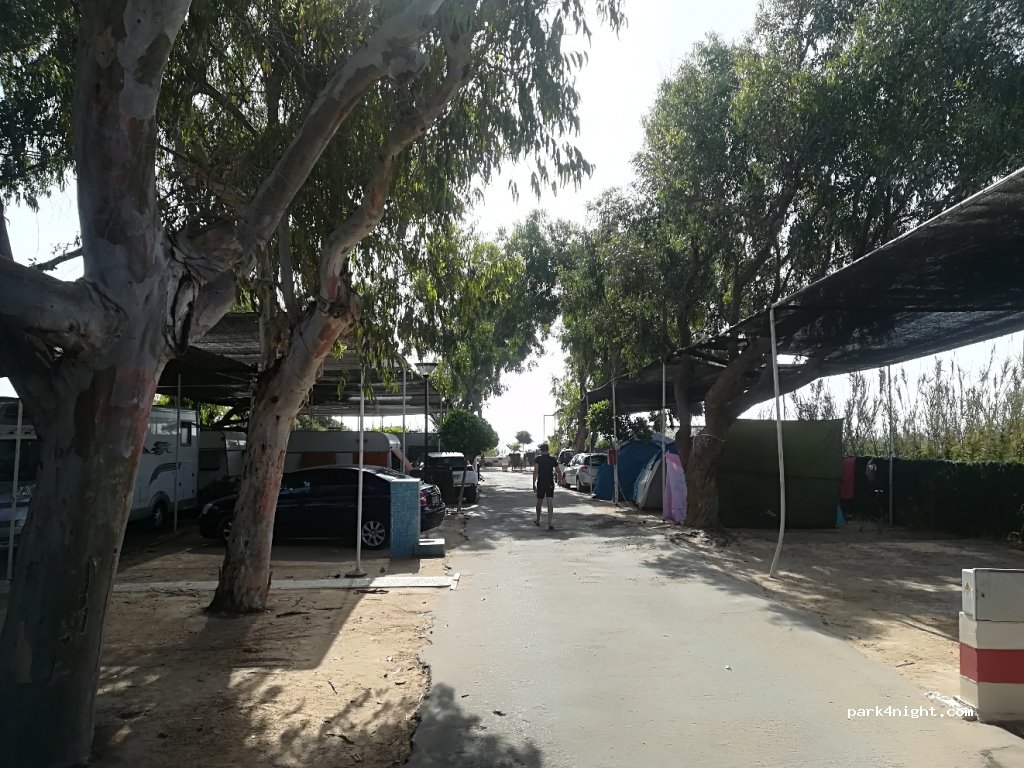 Camping Palm - Mar — foto