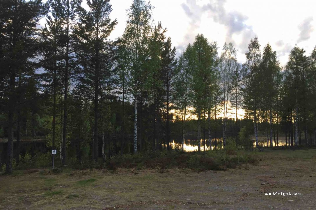 (790 90) Ringbo - 311 — foto