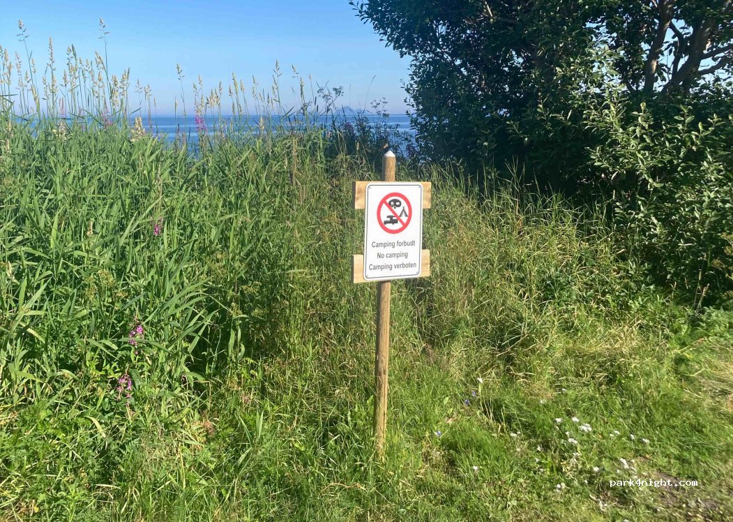 (8315) Laukvik - 27 Sekundær Fylkesveg 888 — foto 4