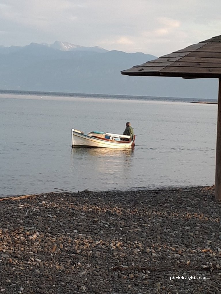 (330 58) Eratini - Eparchiaki Odos Eratinis-Paralia Tolofonas — foto 3