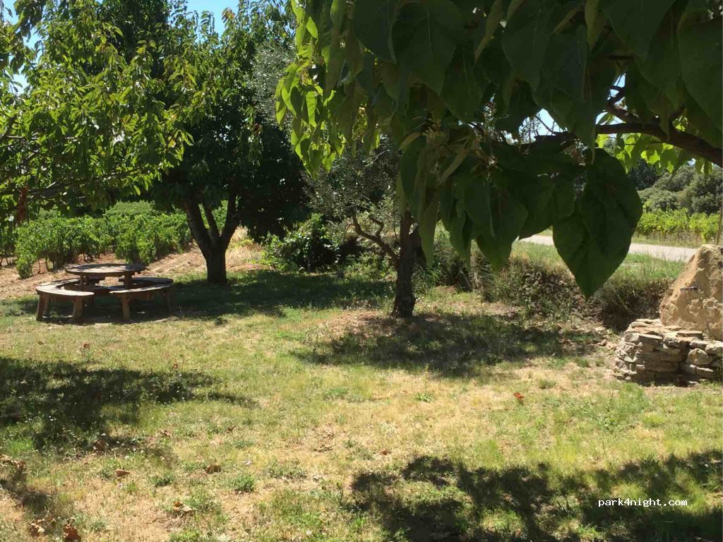 (26170) Mérindol-les-Oliviers - Grand Vigne — foto