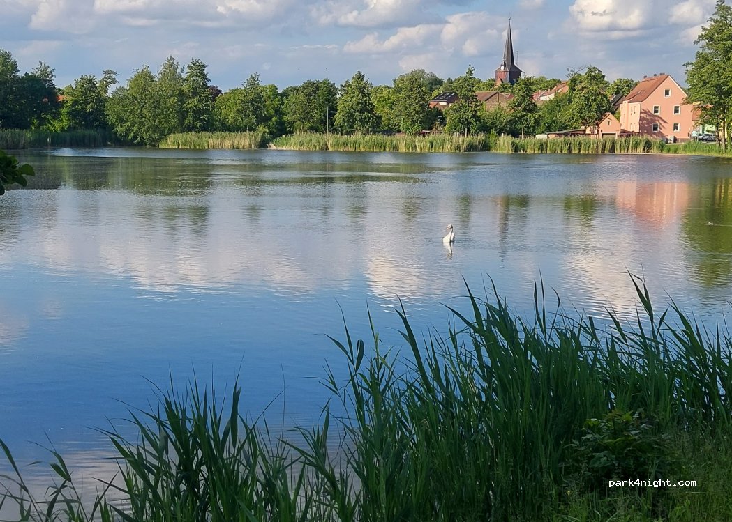 (14913) Jüterbog - 1 An der Tränke — foto 5