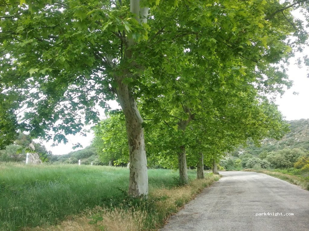 (30210) Castillon-du-Gard - D6086 — foto
