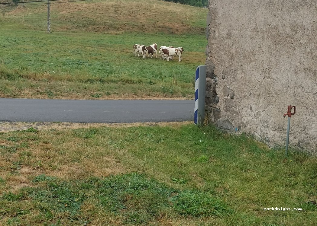 (15160) Allanche - 24 Avenue du Puy Mary — foto 3