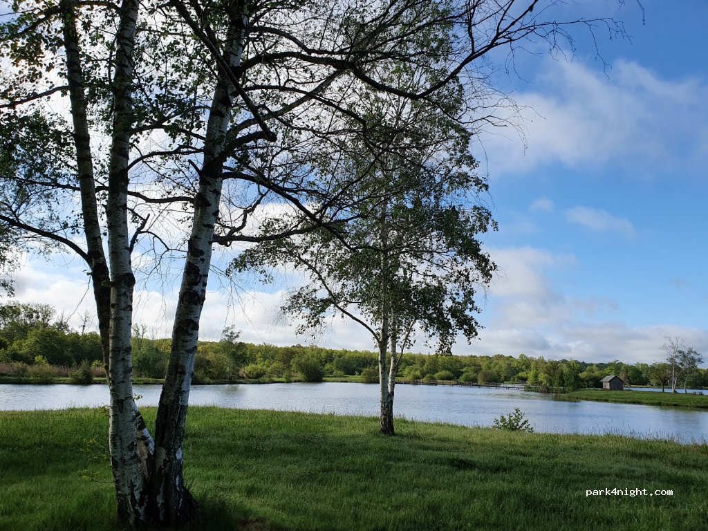 (45720) Coullons - 3 Route de Saint-Gondon — foto 2