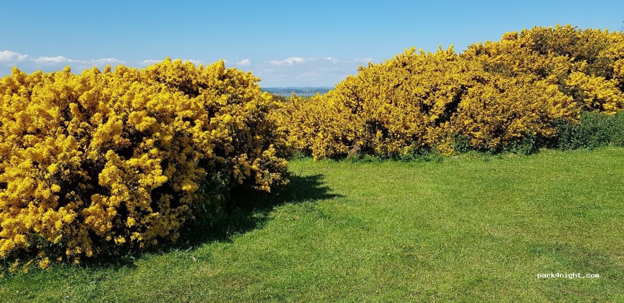 (CA7 5AG) Bowness-on-Solway - — foto