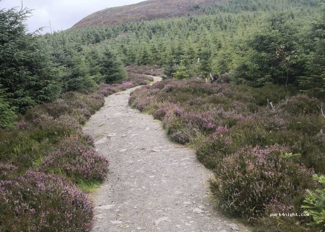 () Ballinastoe - Wicklow Way — foto 3