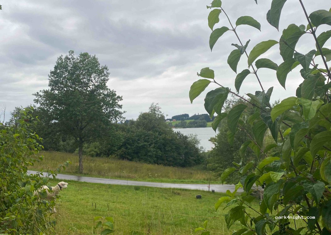 (87466) Oy-Mittelberg - 28 Thalstraße — foto 3